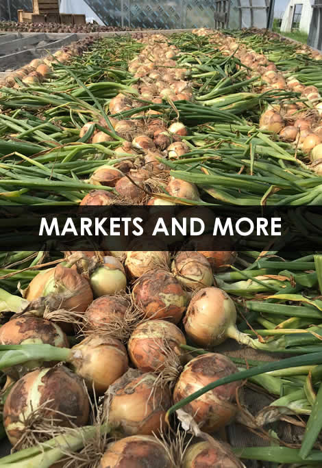 Organic Farm Markets