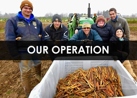 Certified Organic Crop Production