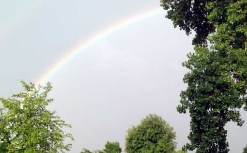 Rainbow Ripon WI